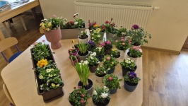 20260325_113340-kopiowanie-jpg1776848312